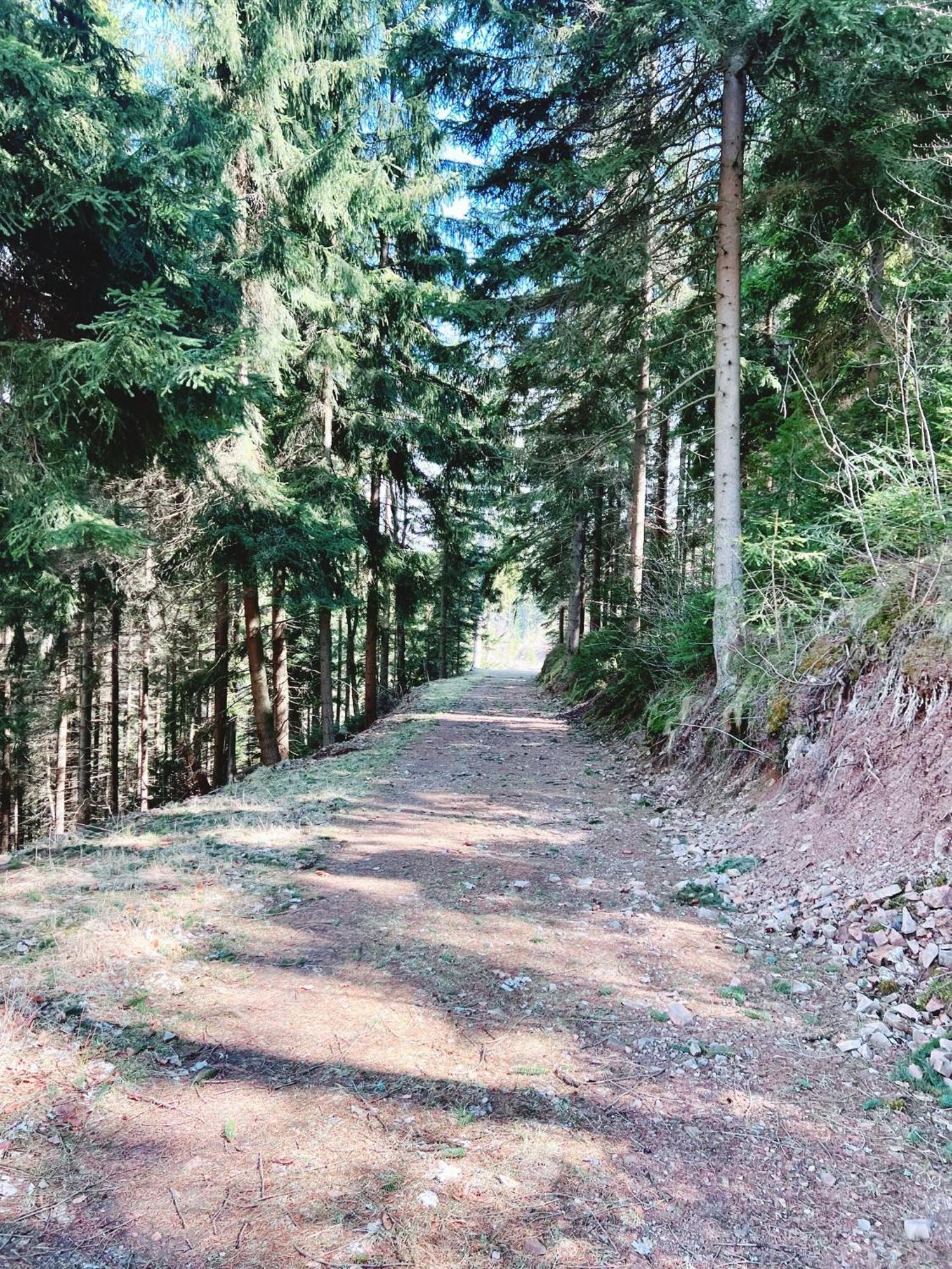 Willa Widokowka Lubawka Exteriör bild